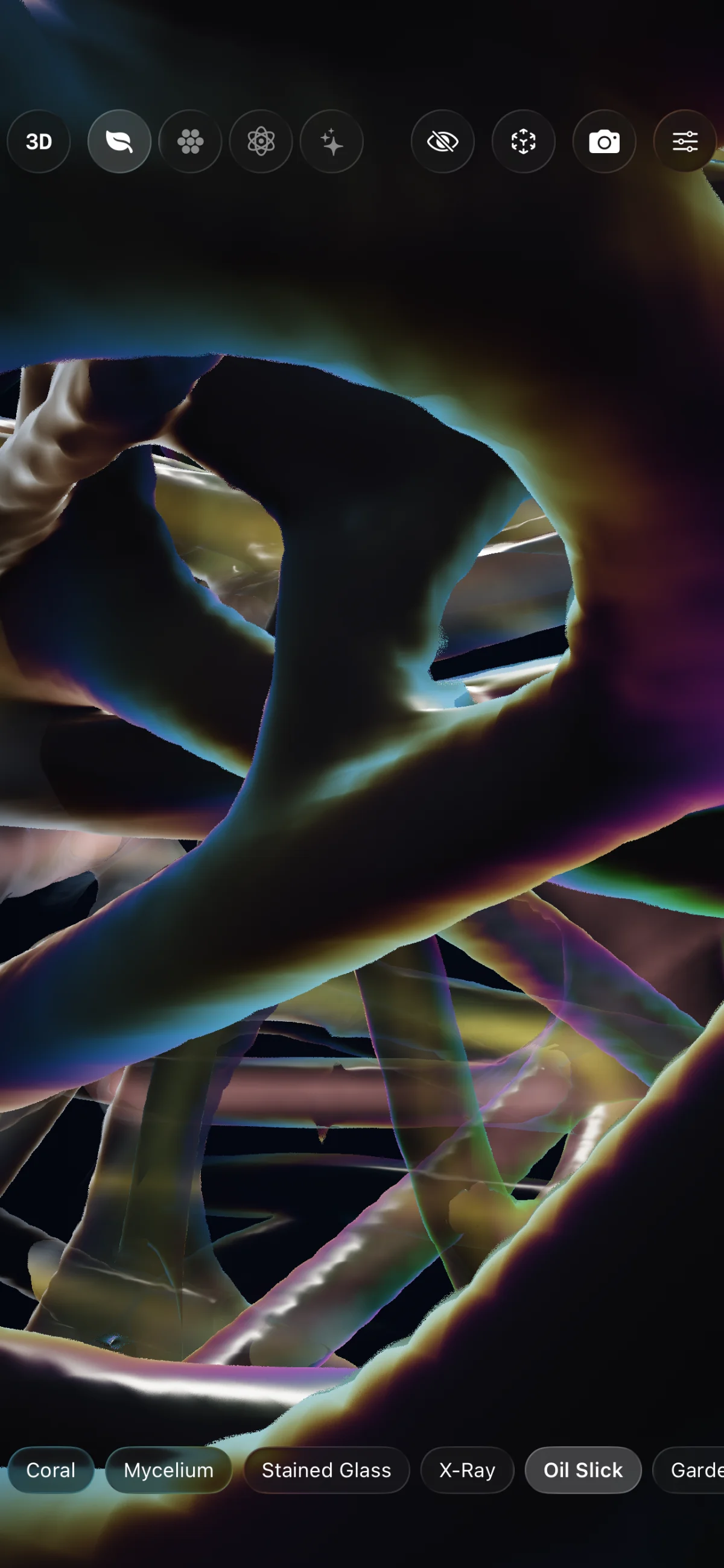 3D physarum in oil slick mode