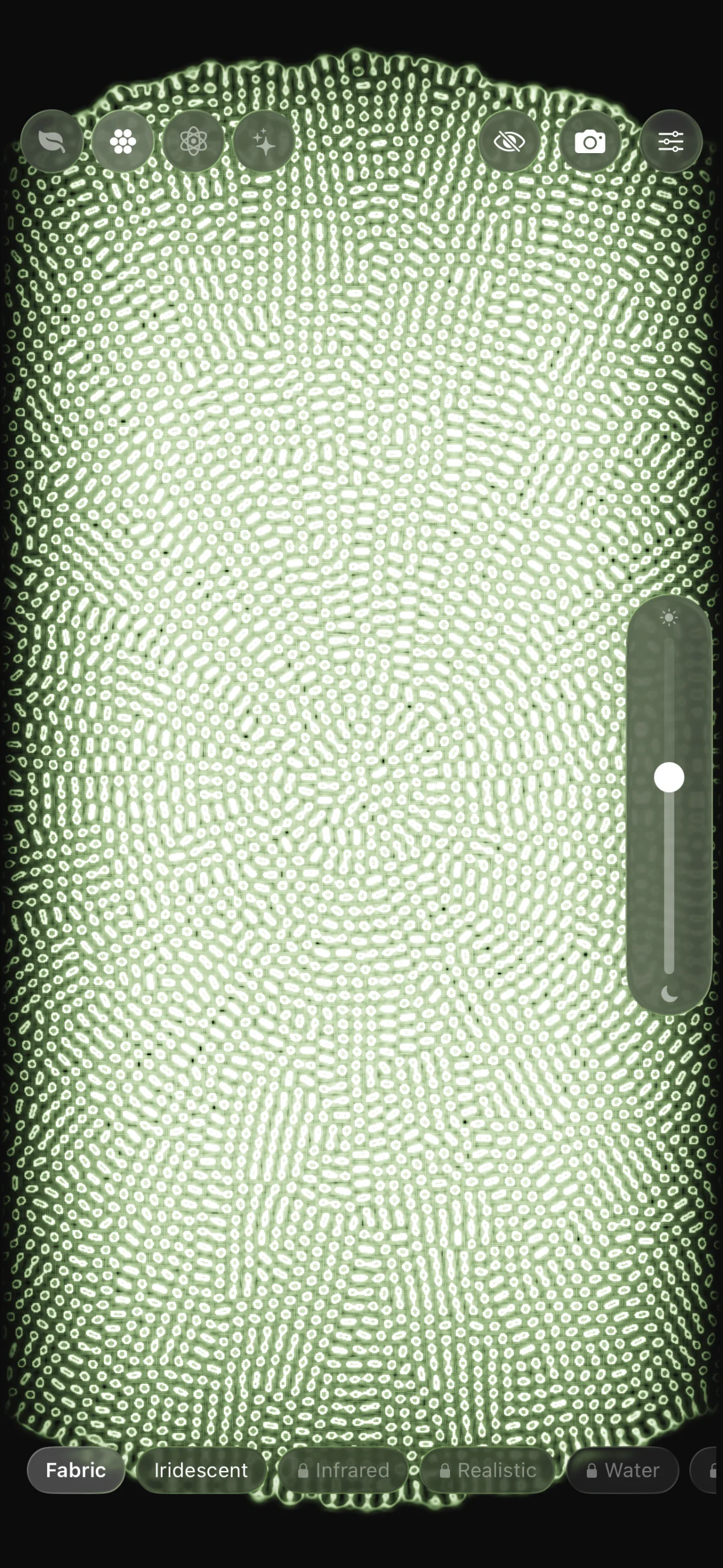 Lenia in fabric mode