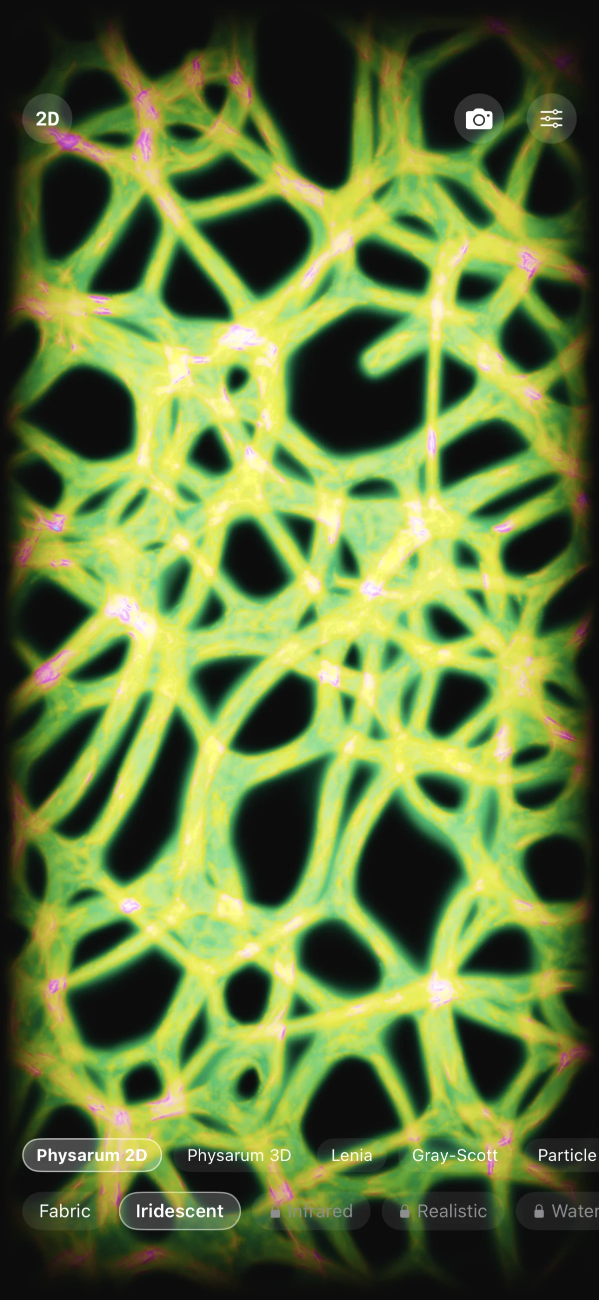 Physarum in iridescent mode